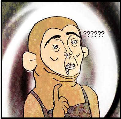 images.jpg