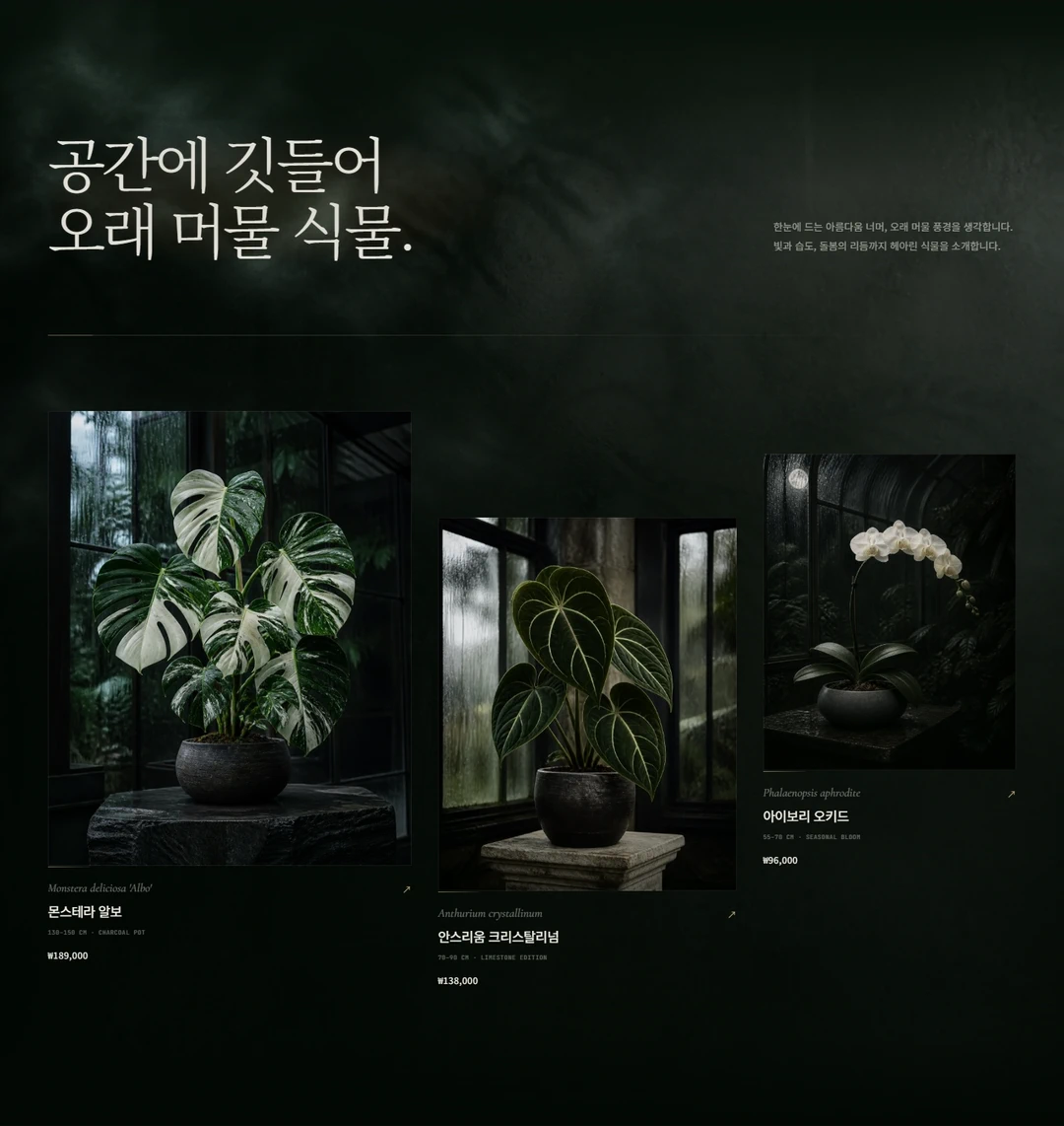SIE Garden 식물 컬렉션